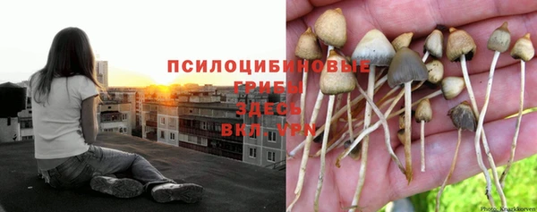 эйфоретик Богородицк