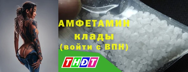 гашик Богданович