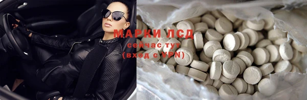 гашик Богданович