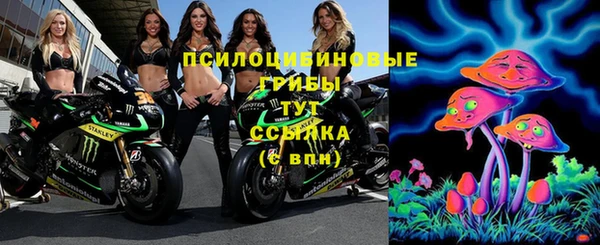 гашик Богданович