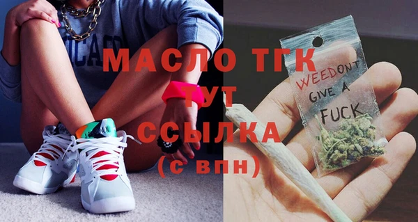 гашик Богданович