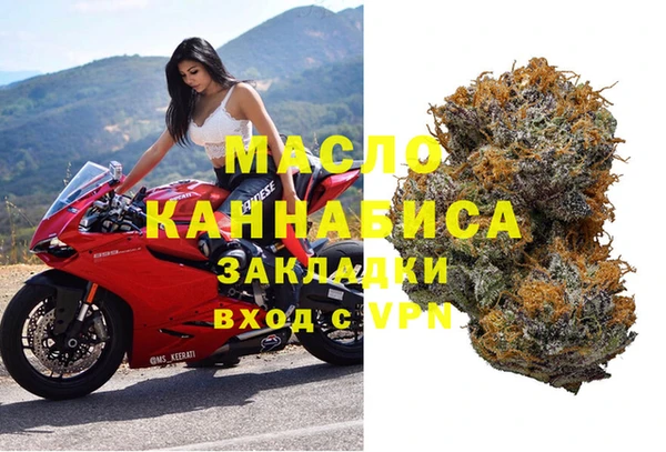 гашик Богданович