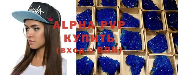 гашик Богданович