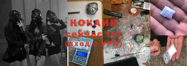 гашик Богданович